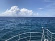 Wednesday June 5th 2019 Tropical Legend: Drift Molasses reef report photo 1