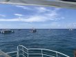 Saturday July 27th 2019 Tropical Legend: French Twist reef report photo 1