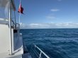 Sunday September 29th 2019 Tropical Legend: Benwood Wreck reef report photo 2