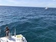 Wednesday November 13th 2019 Tropical Legend: Sand Island reef report photo 1