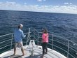 Friday December 6th 2019 Tropical Legend: Pillar Coral reef report photo 1