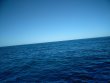 Sunday January 13th 2019 Tropical Odyssey: Spiegel Grove reef report photo 1