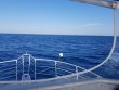 Tuesday February 5th 2019 Tropical Odyssey: Spiegel Grove reef report photo 1