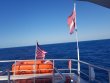 Tuesday February 19th 2019 Tropical Odyssey: Spiegel Grove reef report photo 1