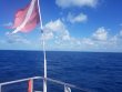 Thursday May 23rd 2019 Tropical Odyssey: Spiegel Grove reef report photo 1