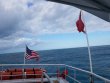 Wednesday January 2nd 2019 Tropical Serenity: ChristmasTree Cave reef report photo 1