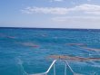 Friday January 4th 2019 Tropical Serenity: ChristmasTree Cave reef report photo 1