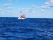 Friday January 11th 2019 Tropical Serenity: Eagle Ray Alley reef report photo 1