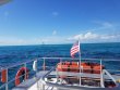 Saturday February 2nd 2019 Tropical Serenity: Eagle Ray Alley reef report photo 1