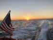 Saturday March 23rd 2019 Tropical Serenity: Benwood Wreck reef report photo 1