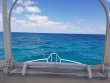 Wednesday April 17th 2019 Tropical Serenity: Benwood Wreck reef report photo 1