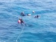 Friday May 3rd 2019 Tropical Serenity: ChristmasTree Cave reef report photo 1
