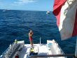 Saturday November 30th 2019 Tropical Voyager: Drift Molasses reef report photo 1