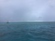 Monday September 7th 2020 Santana: Eagle Ray Alley reef report photo 1