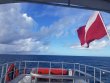 Saturday October 17th 2020 Santana: ChristmasTree Cave reef report photo 1