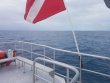 Friday November 13th 2020 Santana: Eagle Ray Alley reef report photo 1