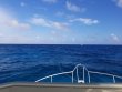 Sunday November 22nd 2020 Santana: ChristmasTree Cave reef report photo 1