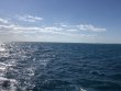 Tuesday December 8th 2020 Santana: Conch Ledge reef report photo 1