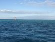 Friday December 11th 2020 Santana: North Star reef report photo 1