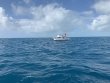 Wednesday February 12th 2020 Santana: Spiegel Grove reef report photo 1