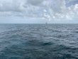 Thursday March 12th 2020 Santana: Molasses Reef reef report photo 1
