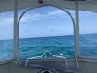 Tuesday July 28th 2020 Santana: Pickles Reef reef report photo 1