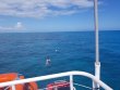 Friday October 30th 2020 Tropical Adventure: North Dry Rocks reef report photo 1