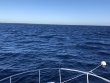 Sunday December 27th 2020 Tropical Destiny: USCGC Duane reef report photo 1
