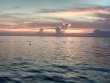 Tuesday July 14th 2020 Tropical Destiny: Benwood Wreck reef report photo 1