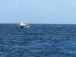 Thursday September 3rd 2020 Tropical Legend: Hole in the Wall reef report photo 1