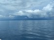 Friday September 11th 2020 Tropical Legend: Captains Choice reef report photo 2