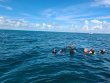 Thursday October 15th 2020 Tropical Legend: ChristmasTree Cave reef report photo 1
