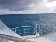 Sunday October 18th 2020 Tropical Legend: Benwood Wreck reef report photo 1