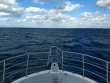 Tuesday December 22nd 2020 Tropical Legend: ChristmasTree Cave reef report photo 1