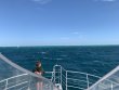 Saturday March 7th 2020 Tropical Legend: Spanish Anchor reef report photo 1