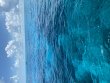 Monday July 6th 2020 Tropical Legend: Elbow Reef reef report photo 1