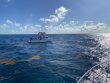 Sunday July 19th 2020 Tropical Legend: Benwood Wreck reef report photo 1