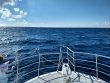 Thursday August 13th 2020 Tropical Legend: Winch Hole reef report photo 1
