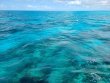 Friday August 28th 2020 Tropical Legend: Fire Coral Cave reef report photo 1