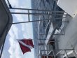 Wednesday September 2nd 2020 Tropical Odyssey: Conch Wall reef report photo 1
