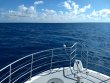 Friday November 27th 2020 Tropical Odyssey: Spiegel Grove reef report photo 1