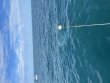 Saturday December 5th 2020 Tropical Odyssey: Spiegel Grove reef report photo 1
