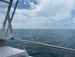 Sunday July 5th 2020 Tropical Odyssey: The Horseshoe reef report photo 1