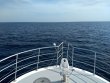 Thursday July 9th 2020 Tropical Odyssey: Spiegel Grove reef report photo 1