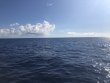 Tuesday September 1st 2020 Tropical Odyssey: USCGC Duane reef report photo 1