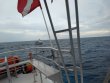 Thursday June 4th 2020 Tropical Serenity: Winch Hole reef report photo 1
