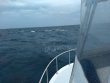 Thursday June 4th 2020 Tropical Serenity: Winch Hole reef report photo 1
