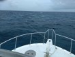 Friday June 5th 2020 Tropical Serenity: Winch Hole reef report photo 1
