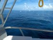 Monday June 22nd 2020 Tropical Serenity: Eagle Ray Alley reef report photo 1