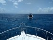Saturday June 27th 2020 Tropical Serenity: ChristmasTree Cave reef report photo 1